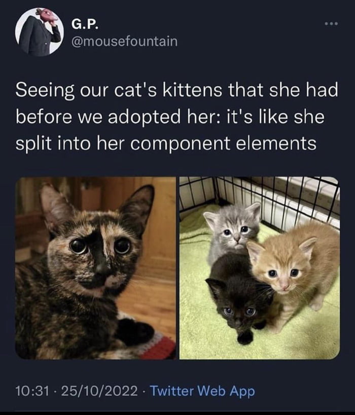 Reversed fusion be like 9GAG