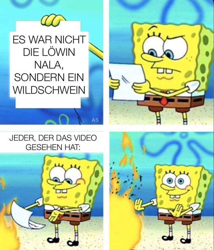 Normale Reaktion Wenn Du Das Video Der L Win Nala Aus Kleinmachnow Bei