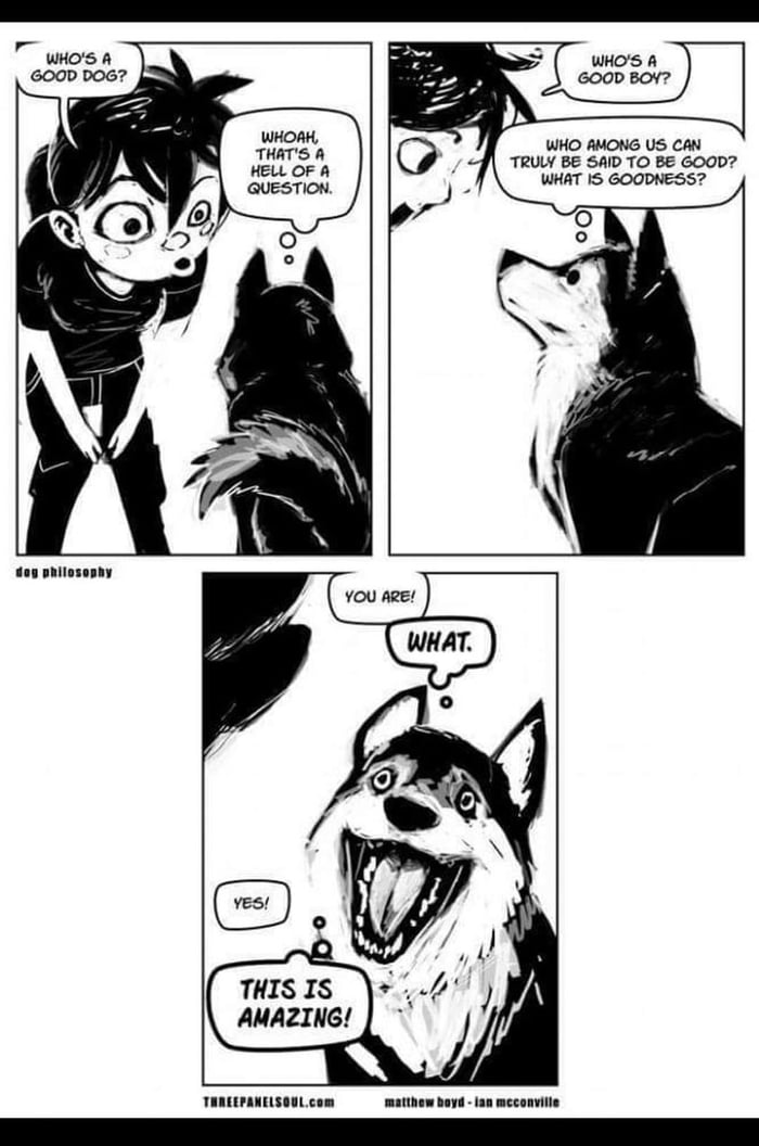 who-s-a-good-dog-9gag