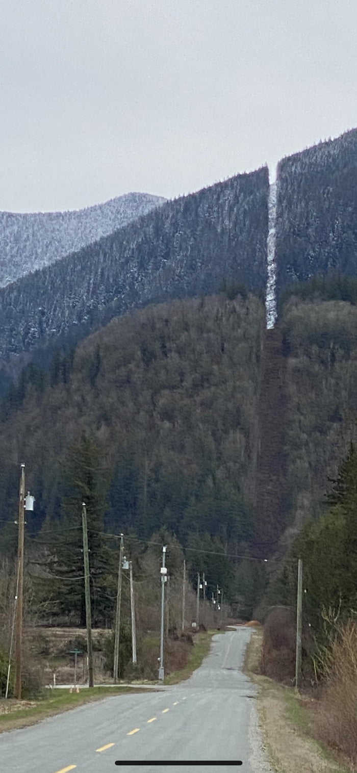 The US Canada Border Line Cut Into The Trees The Snow Line Make It