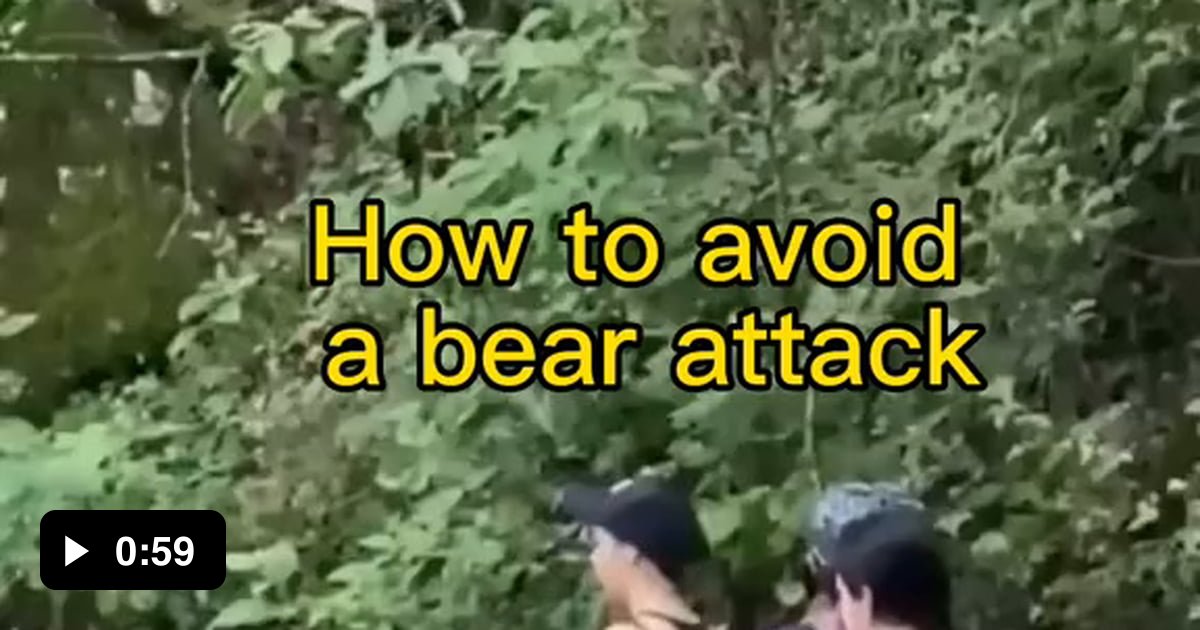 how-to-avoid-a-bear-attack-9gag