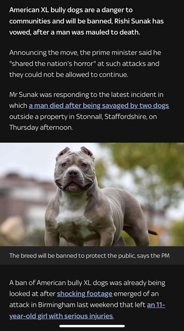 PM To Ban American XL Bullies In The UK By The End Of The Year 9GAG   AdPr3P2 700b 