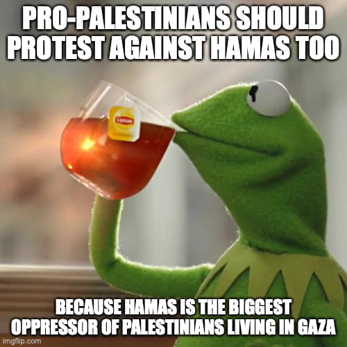 Despite Israel doesn't care about Palestinians in Gaza, they still care ...