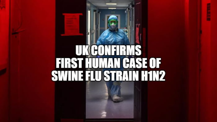 Britain Detects First Human Case Of Flu Strain Similar To Pig Virus - 9GAG