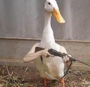 Armed Goose, Guardian of the lake (+50 range) - 9GAG