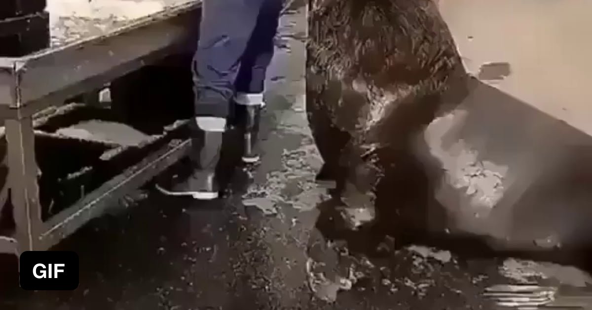 Bruce the Tax Collector 9GAG