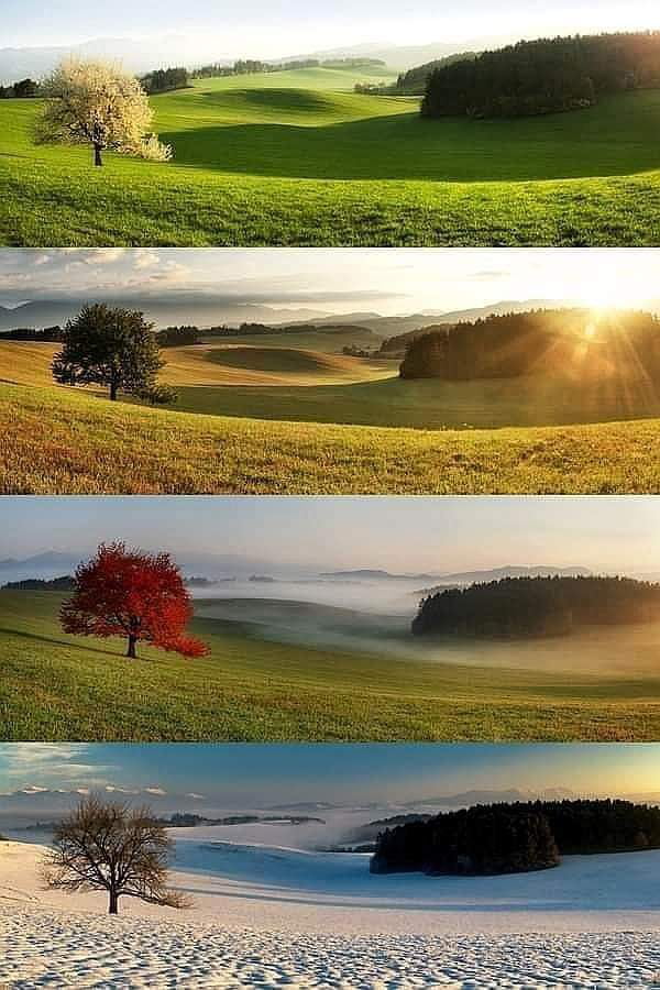 4 different seasons. Same place! Romania - 9GAG