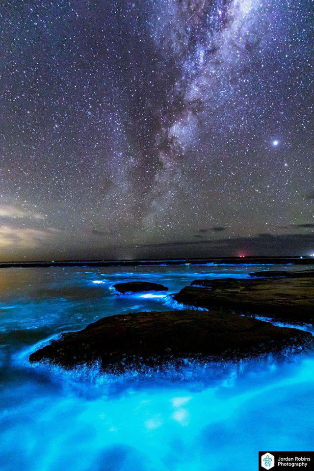 Incredible bioluminescent algae, in Jervis Bay - 9GAG