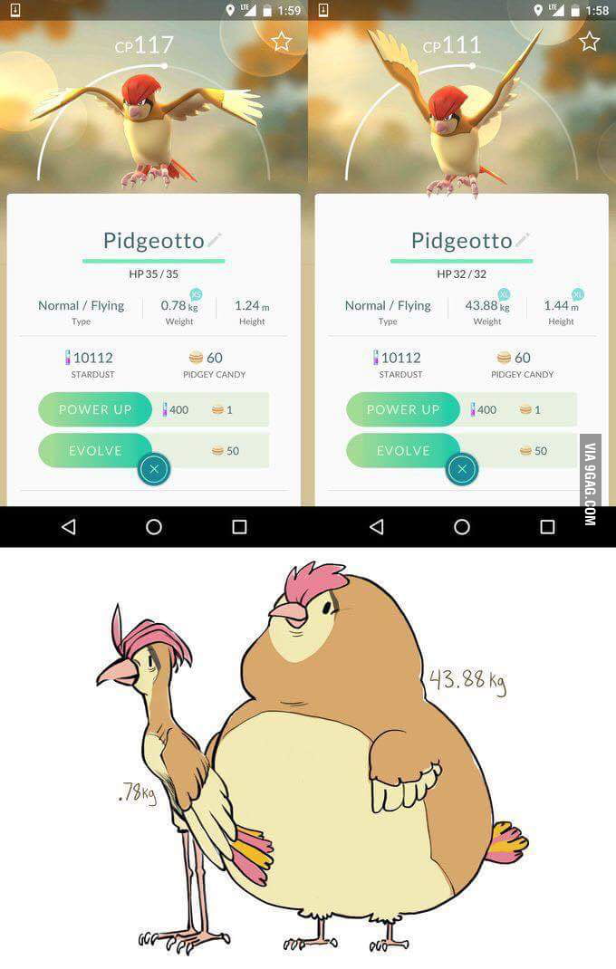 Pokemon Go has a huge pokemon weight range 9GAG