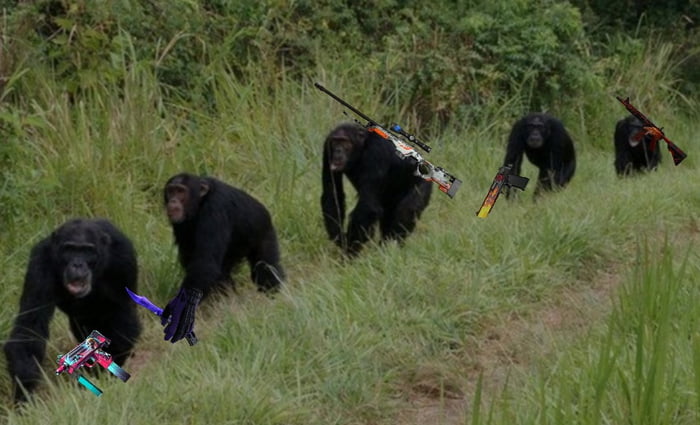 Me and the boys return to monke - 9GAG
