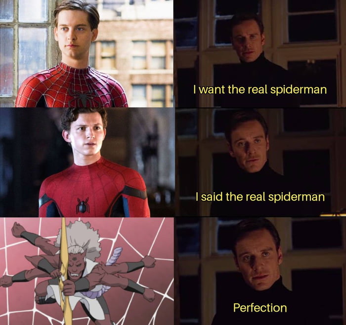 The perfect spiderman - 9GAG