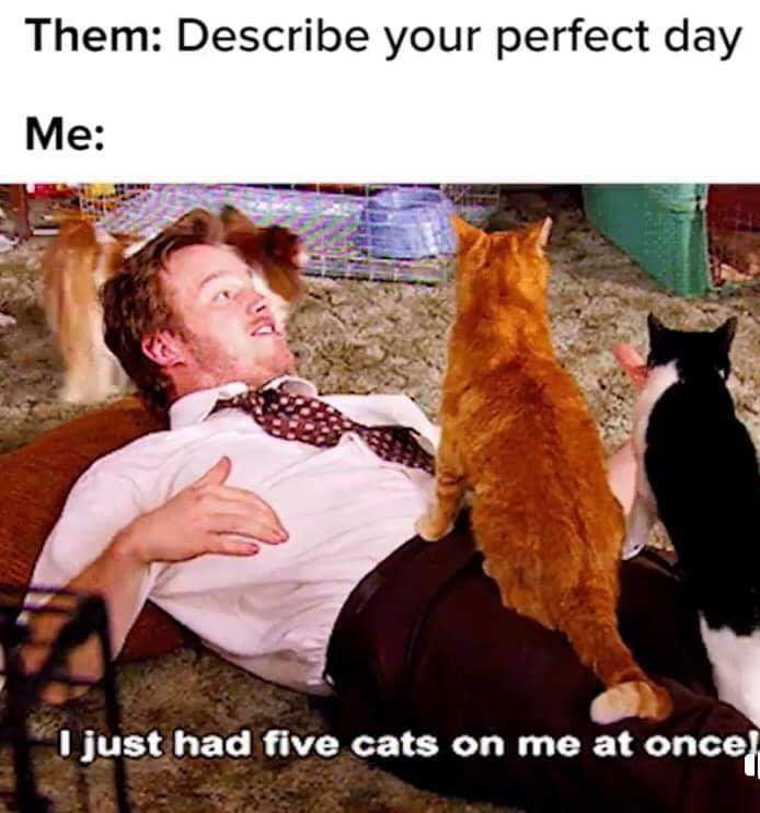 The perfect day. - 9GAG