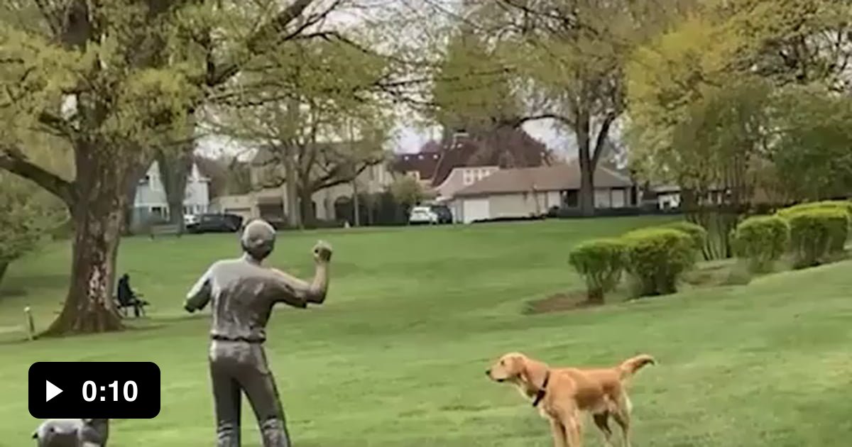 Please throw the ball ! 9GAG