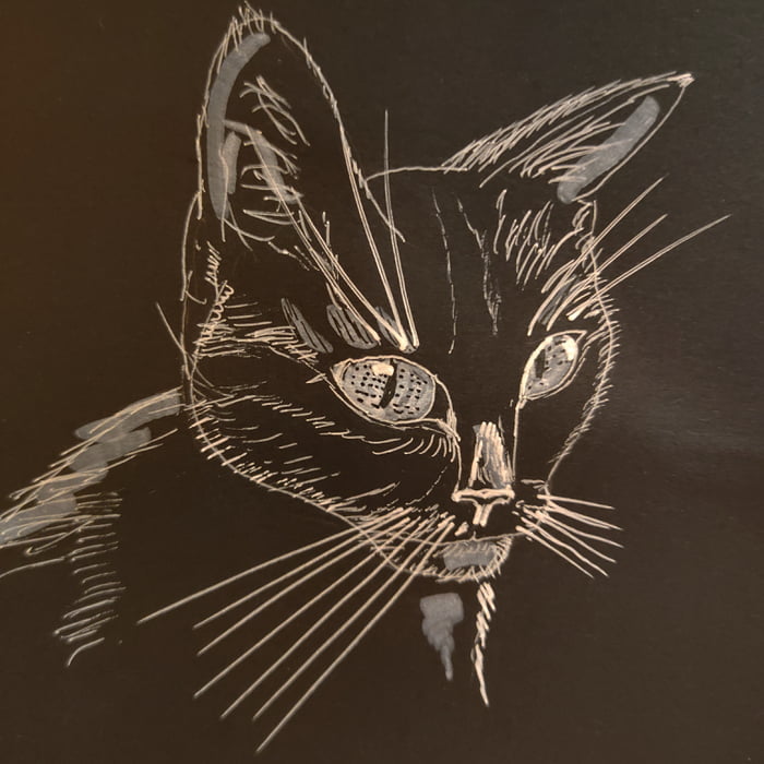 Easy Cat Drawing on Black Paper, Black and White Drawing