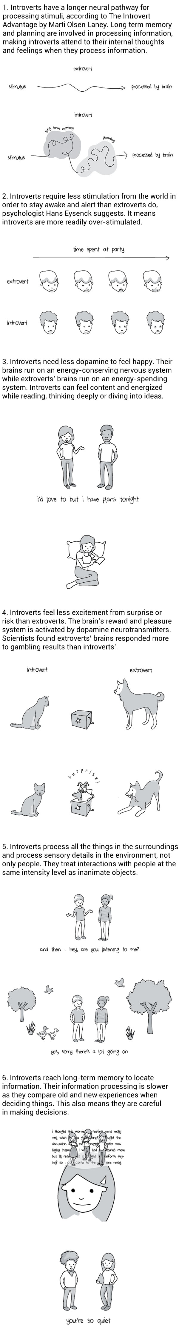 What It’s Like In An Introvert’s Head (By Liz Fosslien and Mollie West)