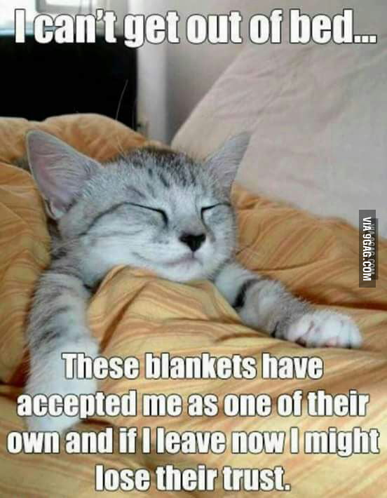 the-one-reason-to-stay-in-bed-all-day-who-agrees-9gag