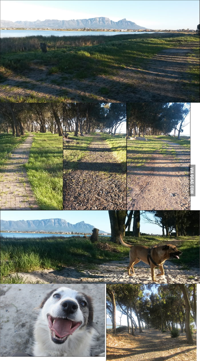 This is where I walk my dogs. Zeekoevlei ,Cape Town , South Africa 9GAG