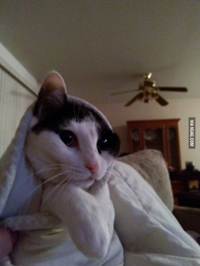 My cat hates me 9GAG