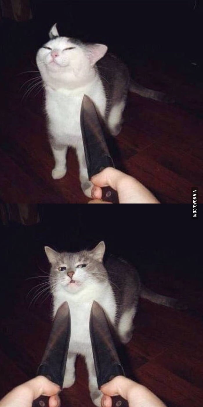 Кот с ножами вокруг мем Human, you don't scare me... Oh wait... - 9GAG