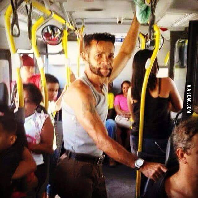 Wolverine in the bus
