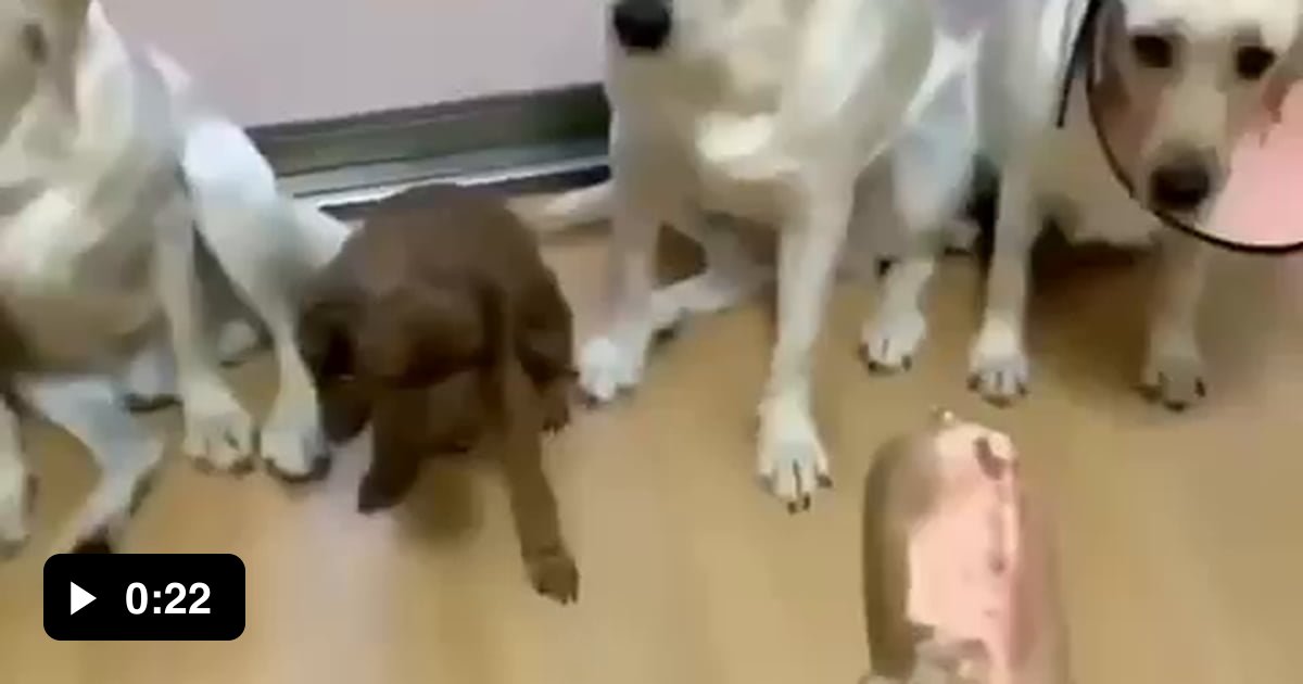 Snitches get stitches 9GAG