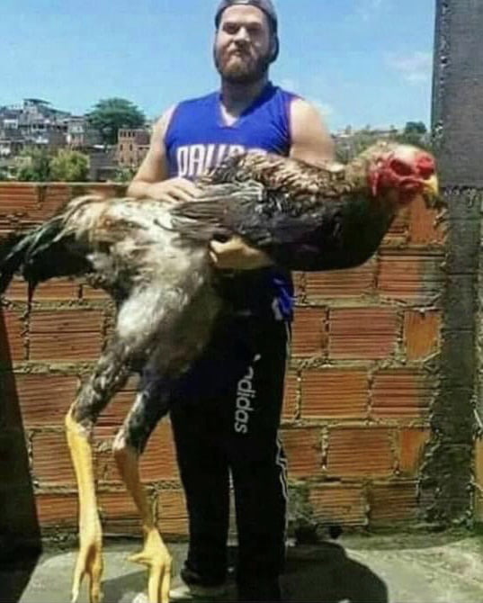want-to-see-my-giant-cock-9gag