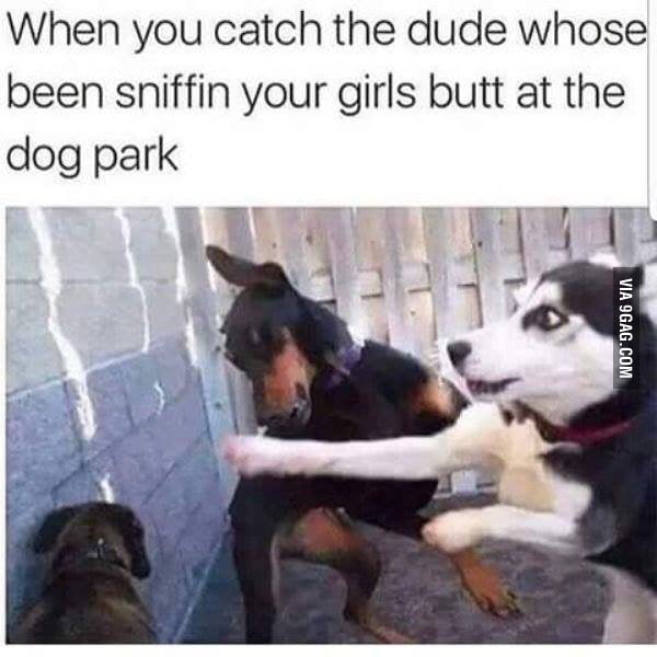 These B*tches Ain't Loyal - 9GAG