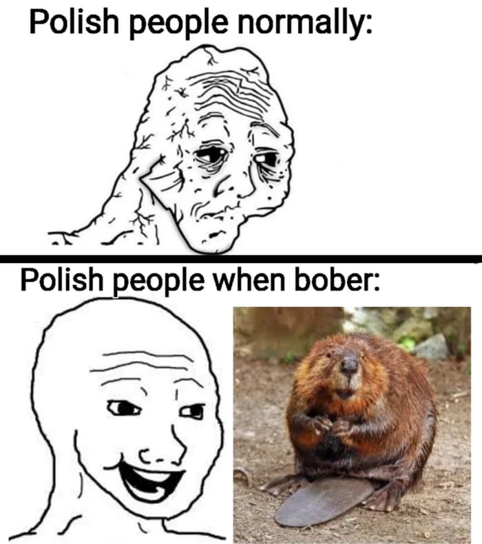 Bober makes you smile - 9GAG