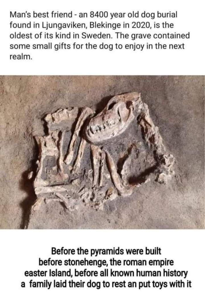 History’s First Bros - 9GAG