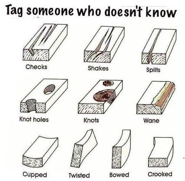 a-cool-guide-wood-damage-infographic-9gag
