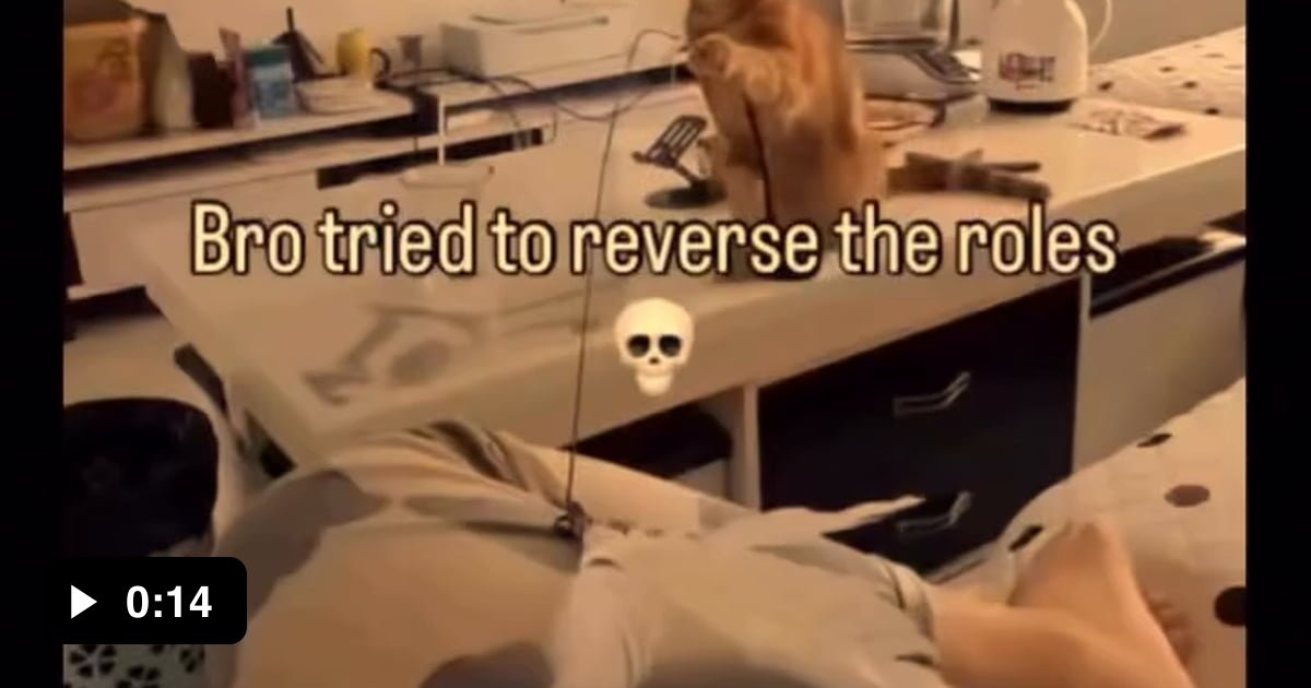 Just a cat reversing the roles - 9GAG