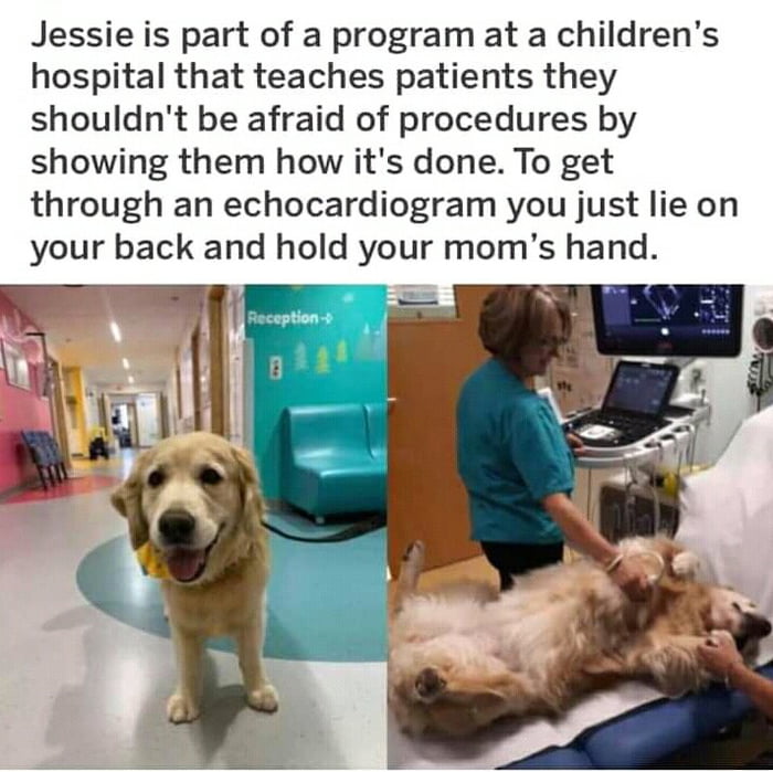 Jessie The Brave - 9GAG