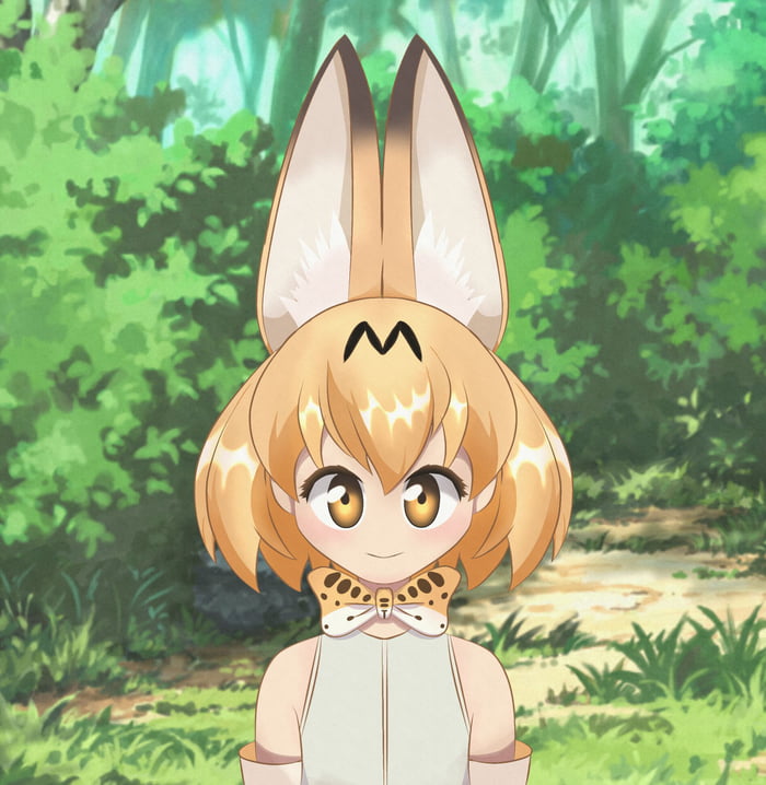 I Finished My Drawing Of Servel From Kemono Friends I Did Not Draw The Background I Got It From The App I Use To Draw 9gag