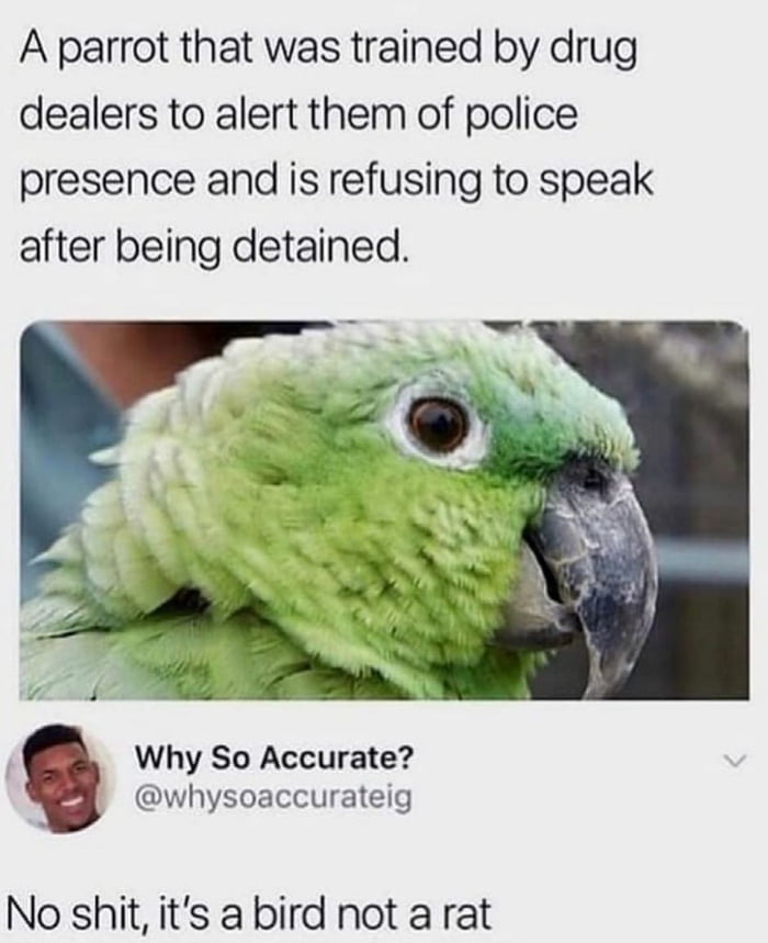 Snitches get Stitches 9GAG