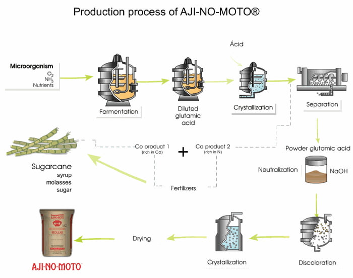 How Msg Is Made