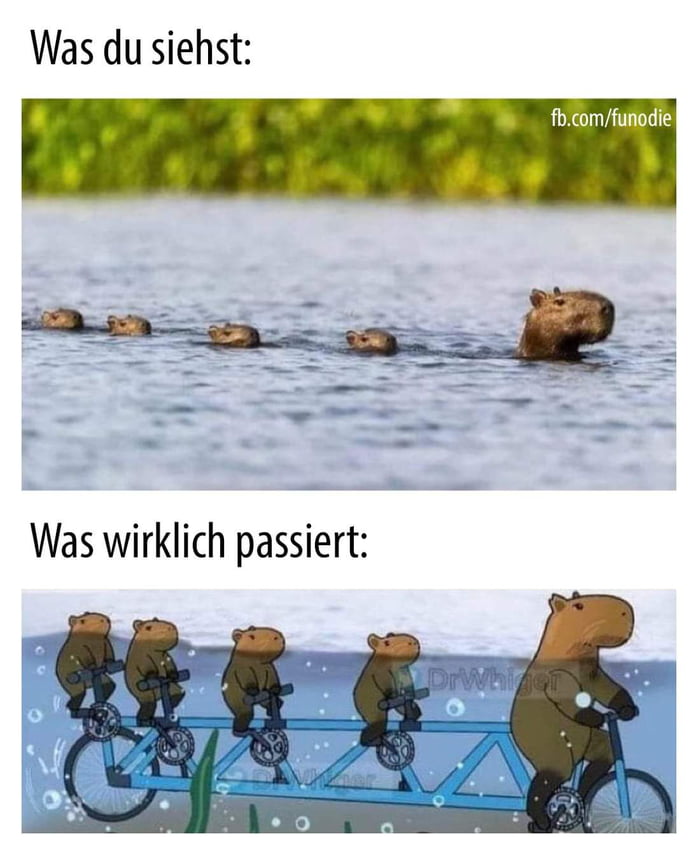 Ich Wusste Es! - 9GAG