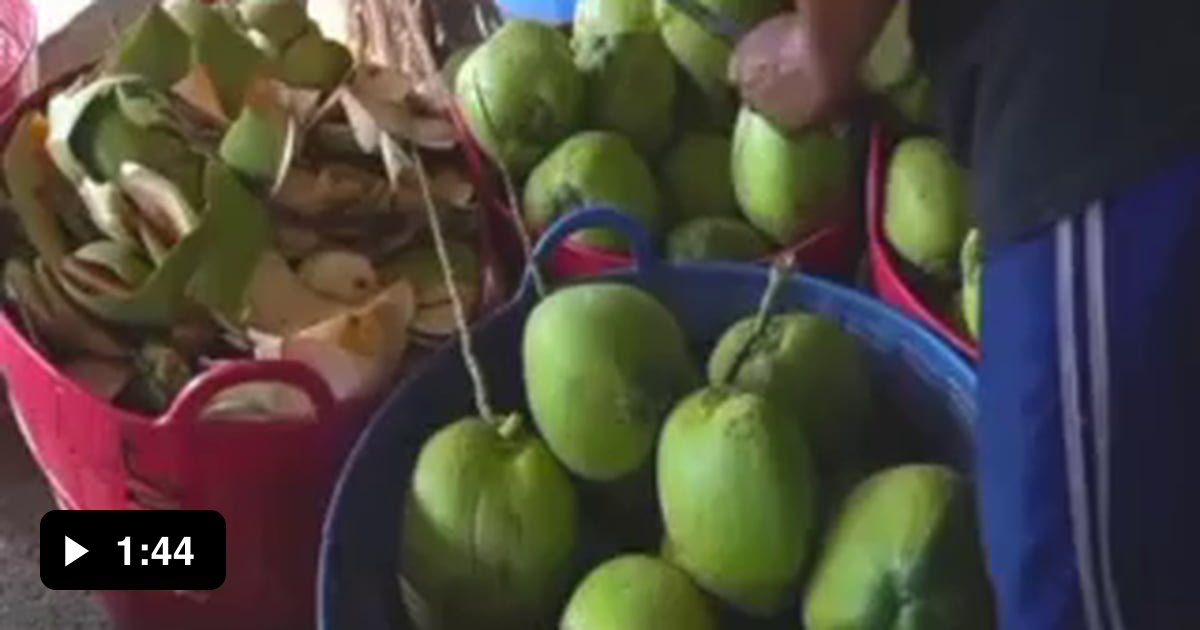 Coconuts kill more people then sharks just remember that 9GAG