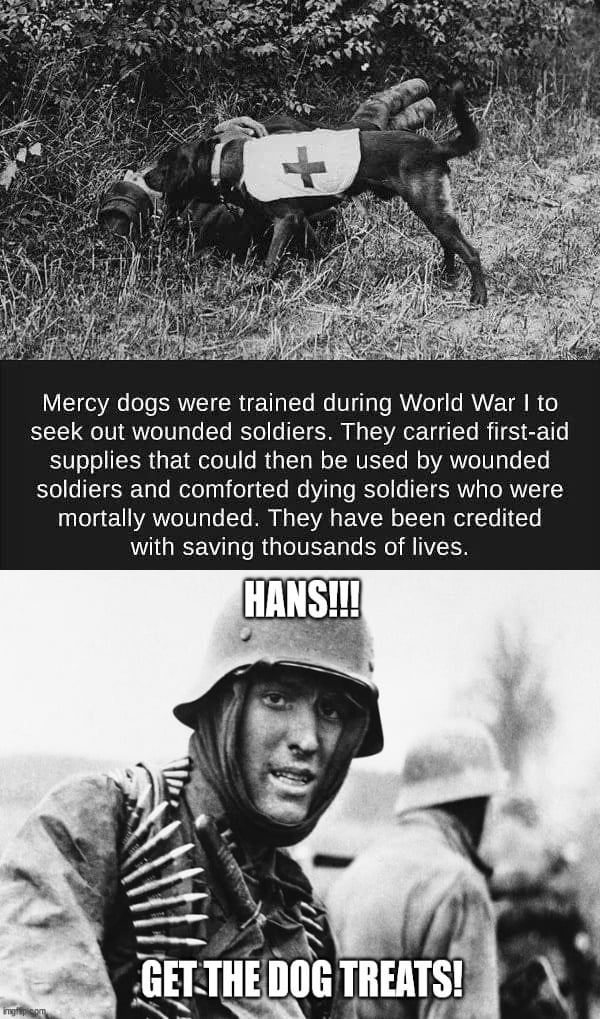 We dont deserve dogs... - 9GAG