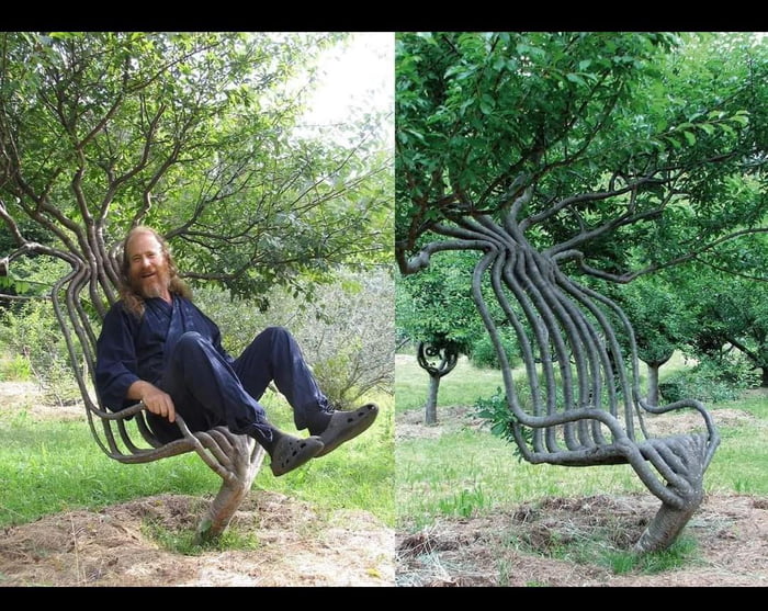 This artist spent eight years growing a tree chair by gradually ...