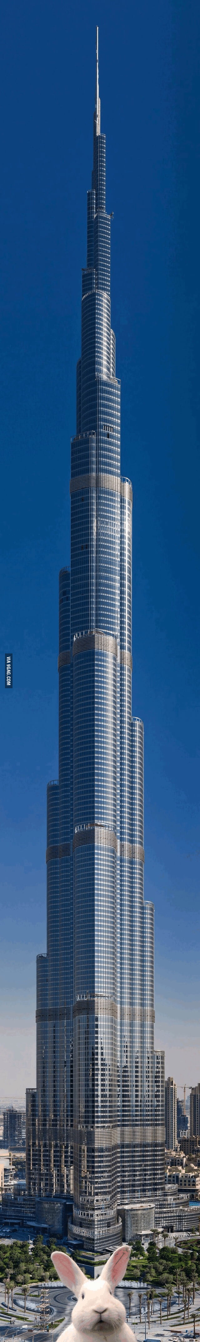 just-a-very-tall-building-9gag