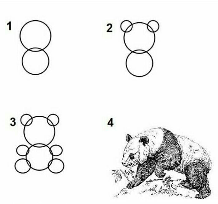 How to draw a panda in 4 easy steps. - 9GAG