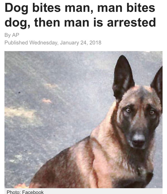 But why not dog arrested?! He started it ! - 9GAG