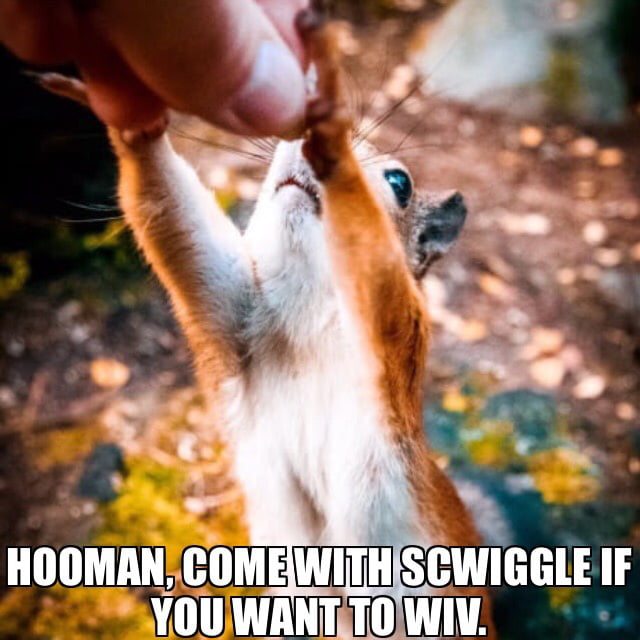 Hooman protection agency (Scwiggle Force) - 9GAG