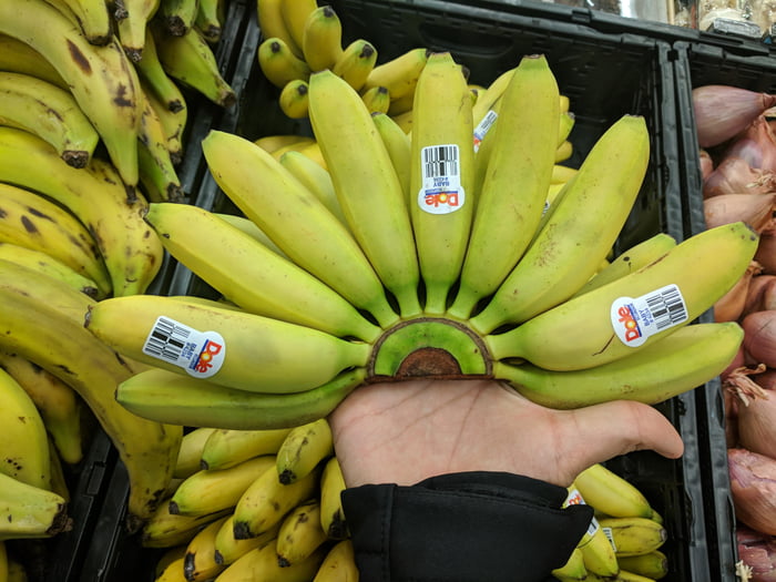 how-these-bananas-are-connected-9gag