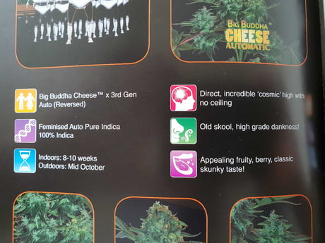 I Found The Meaning Of Life 9gag