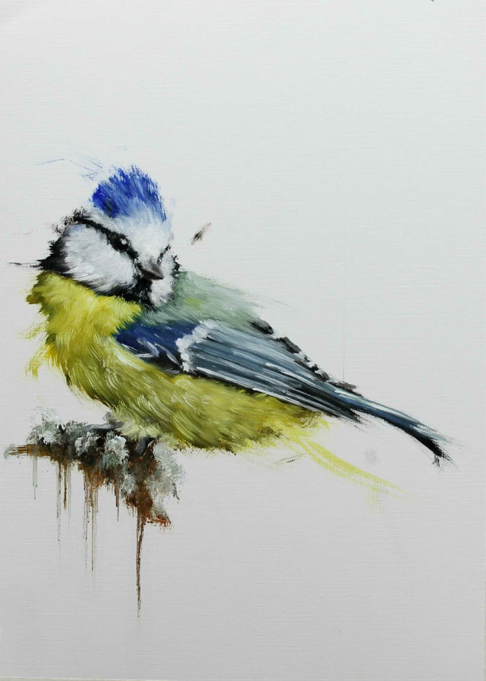 My first bird painting. A Blue tit. My favorites of all tits. - 9GAG