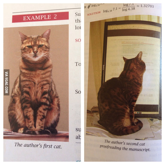 This Math Textbook Author Casually Throws In Pictures Of His Cat 