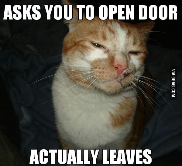 Cool Cat Craig - 9GAG