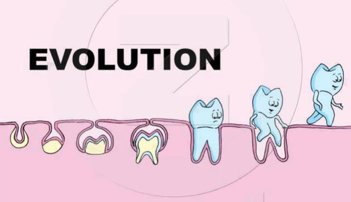 The Evolution - 9GAG