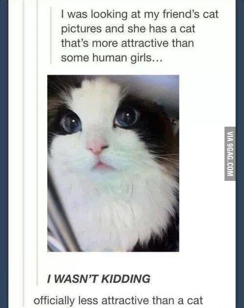 She S Beautiful 9gag